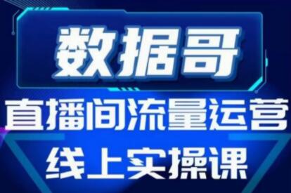 数据哥直播间流量运营线上实操培训课程，不能错过的一套系统课教程