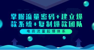 《电商流量起爆体系》掌握流量密码+建立爆款系统+复制爆款团队