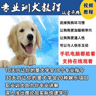 唐伟敏训犬教程-训狗教程