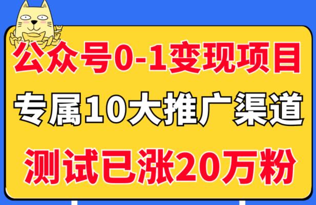 《5个公众号从0-1变现项目》公众号专属10大推广渠道，测试已涨20万粉！