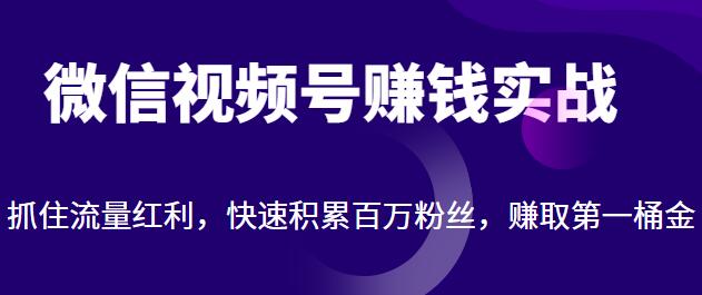 《微信视频号赚钱实战》视频号运营引流实战技巧