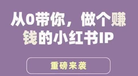 谢无敌《小红书运营培训班》从0带你做个赚钱的小红书IP