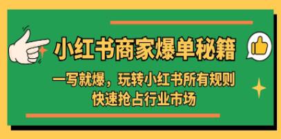 《小红书商家爆单秘籍》一写就爆，玩转小红书所有规则，快速抢占行业市场