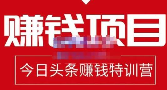 懒人领域《今日头条中视频项目玩法》单号收益在50—500可批量