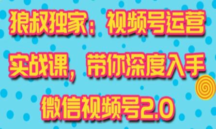 微信视频号运营实战2.0，独家最新玩法，快速吸粉吸金