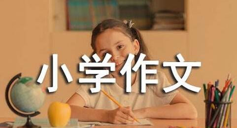 小学作文大全，小学作文辅导教学视频教程