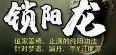 姜书洋《锁阳龙》道家固精、止漏的纯阳功法