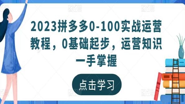 《拼多多0-100实战运营教程》0基础起步，运营知识一手掌握