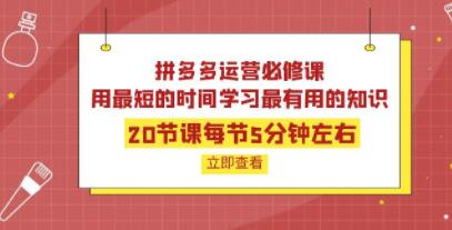 《拼多多运营必修课》用最短的时间学习最有用的知识