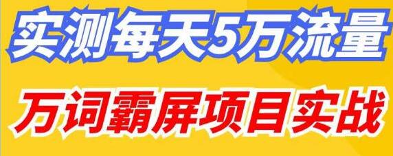 《万词霸屏项目实战》实测每天5万流量