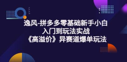 逸风《拼多多高溢价冷启动》异赛道爆单玩法实操课