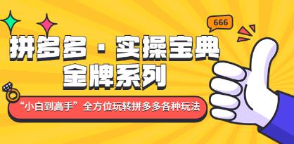 《拼多多实操宝典》金牌系列“小白到高手”带你全方位玩转拼多多各种玩法