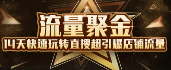 淘宝大学：流量聚金14天快速玩转直搜，超引爆店铺流量，价值8800元