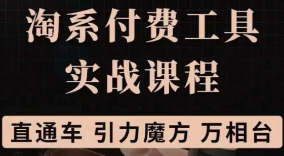 《淘系付费工具实战课程》直通车、引力魔方战略优化教程视频