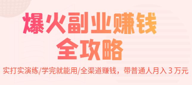 《爆火副业赚钱全攻略》实打实演练，学完就能用，带普通人月入３万元