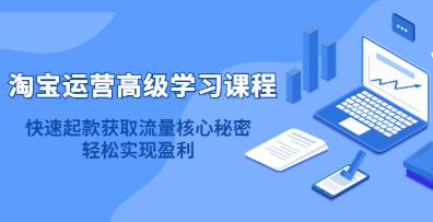 《淘宝运营高级学习课程》快速获取流量核心秘密，轻松实现盈利！ 