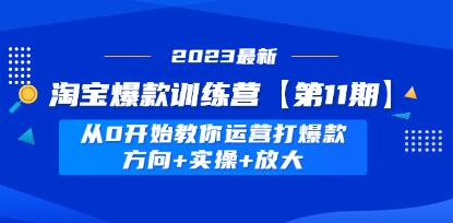 《淘宝爆款训练营第11期》 从0开始教你运营打爆款，方向+实操+放大