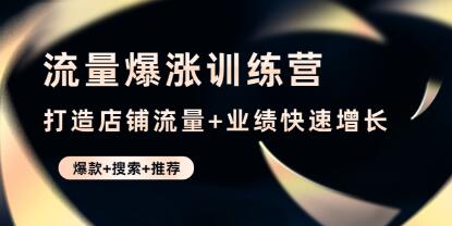 《流量爆涨训练营》打造店铺流量+业绩快速增长 (爆款+搜索+推荐)