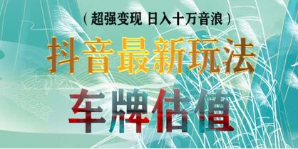 抖音最新无人直播变现《直播车牌估值玩法项目》轻松日赚几百