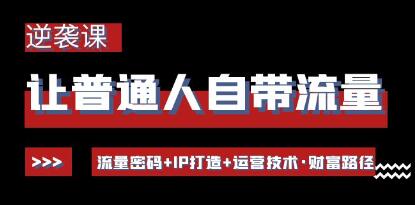 《让普通人自带流量的逆袭课》流量密码+IP打造+运营技术·财富路径