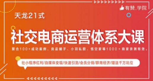 社交电商运营课程，实体新零售拉新留存转化即学即用