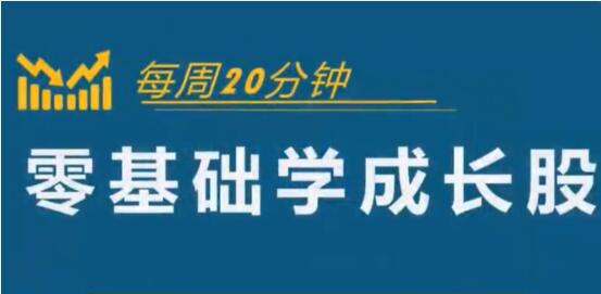 怎样选择成长股《零基础学成长股》股票讲座