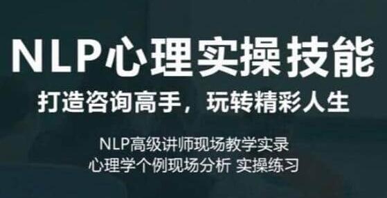 《NLP心理实操技能》打造咨询高手，玩转精彩人生