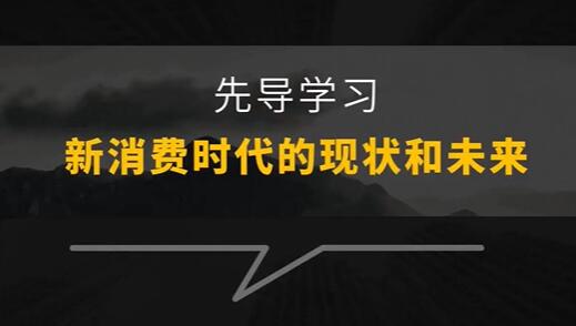 王岑3.0《新消费品牌增长方法与案例》视频课程