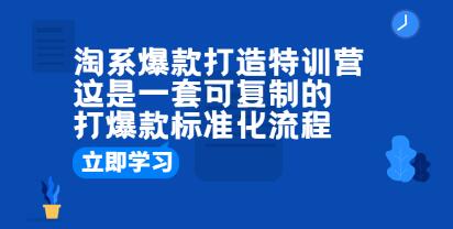 《淘系爆款打造特训营》这是一套可复制的打爆款标准化流程