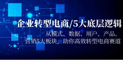 《企业成功转型电商的5大底层逻辑》模式/数据/用户/产品/营销5大板块，高效转型