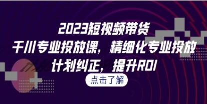 《短视频带货-千川专业投放课》精细化专业投放，计划纠正，提升ROI