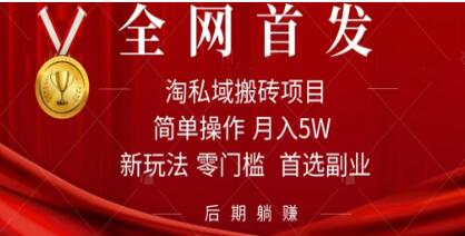 《淘私域搬砖项目》利用信息差可月入5W，每天无脑操作1小时