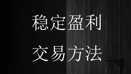 李君壮《牛熊市皆赢利的秘诀与绝招》炒股教程视频