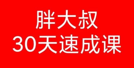 《胖大叔绝密炒股课程》30天速成班第一期+第二期