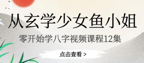 鱼小姐《从零开始学八字》视频