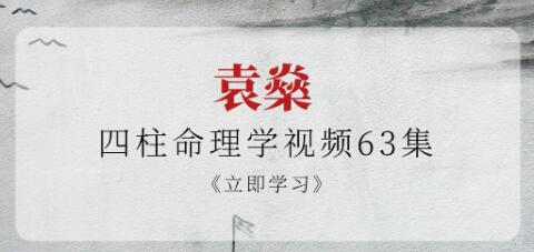 袁燊《四柱命理学视频》63集