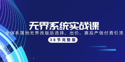 老衲《无界系统实操课》选择、出价、高投产做付费引流